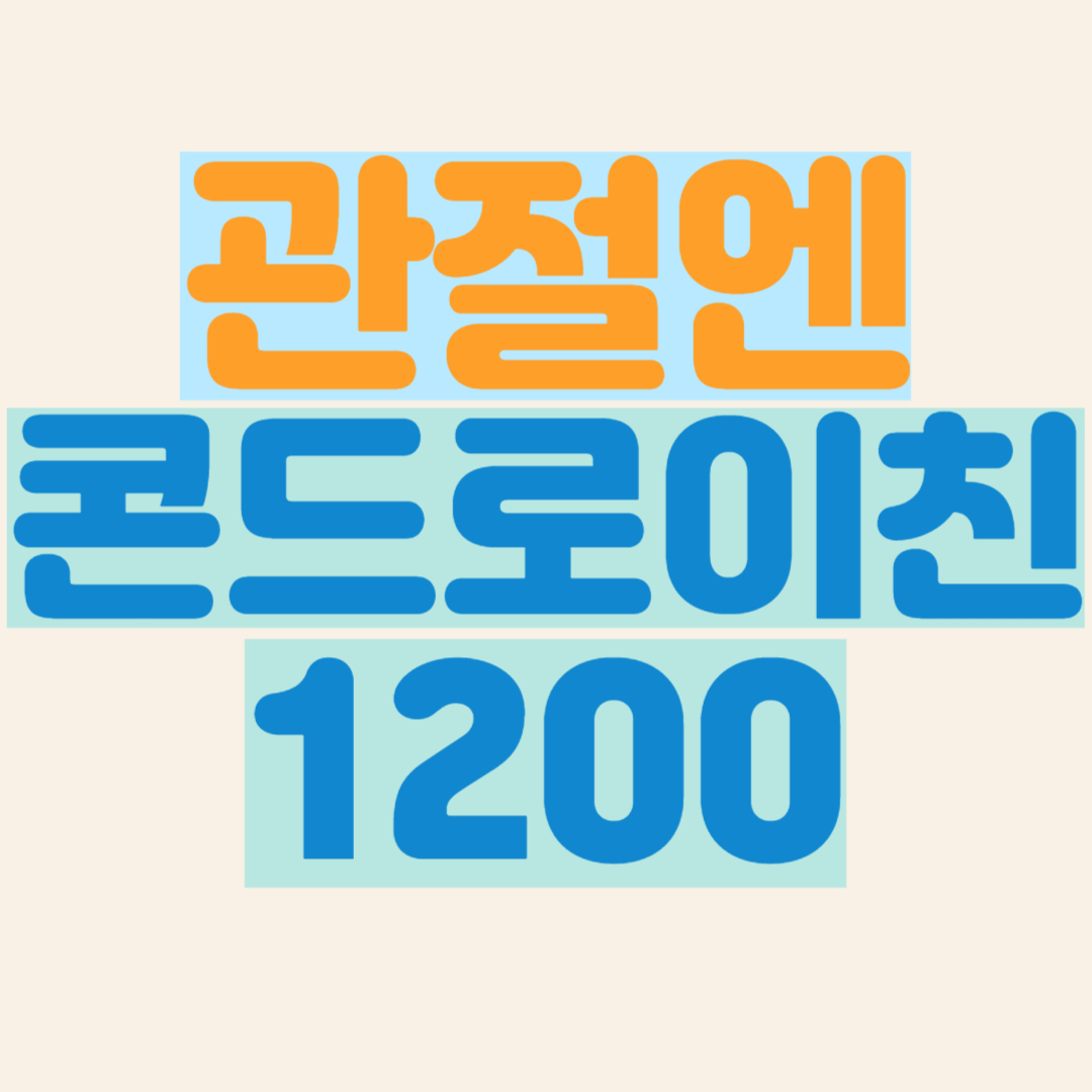 콘드로이친1200