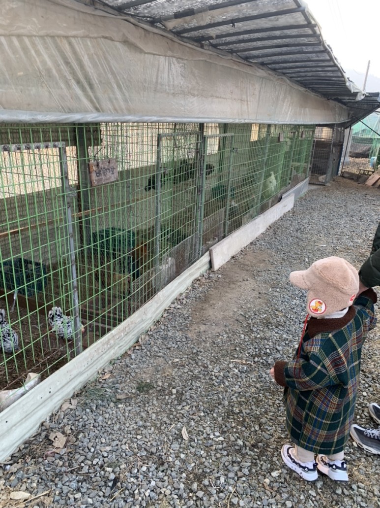 정현딸기농장, 18