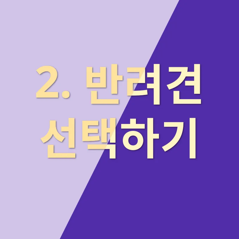 반려견 입양_2