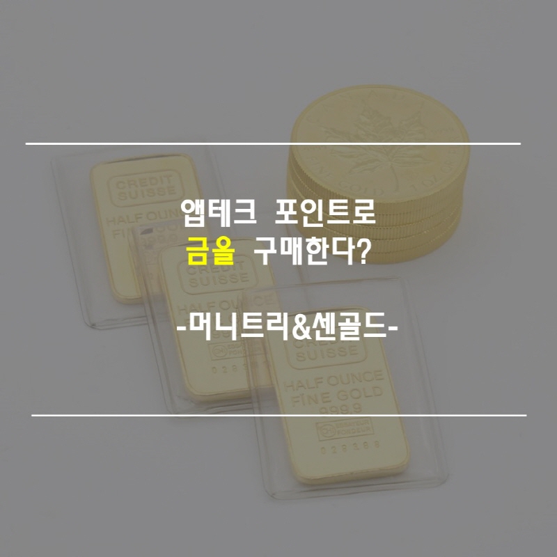 앱테크금구매