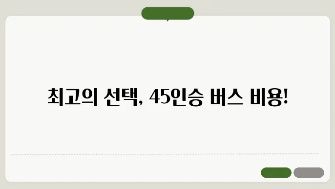 버스45인승 비욨 후기 총정리