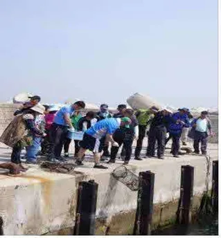 공수 어촌체험마을