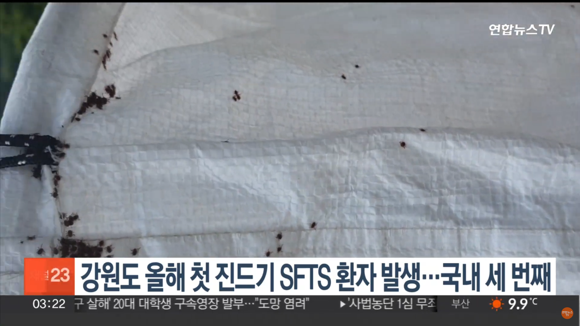 진드기 SFTS 환자 올해 첫 사망 (출처 - 연합뉴스TV 스크린샷)