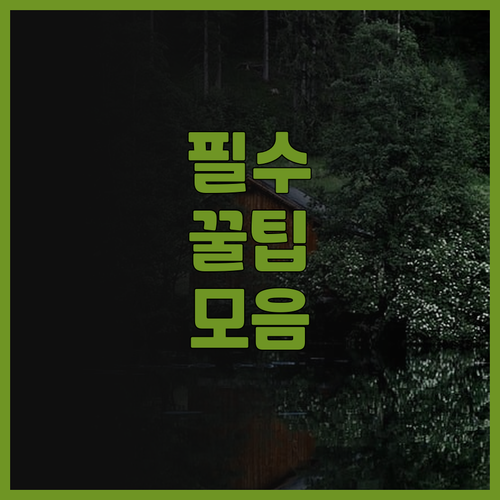 민윤 청두 동다 호텔 후기 뷰 맛집 