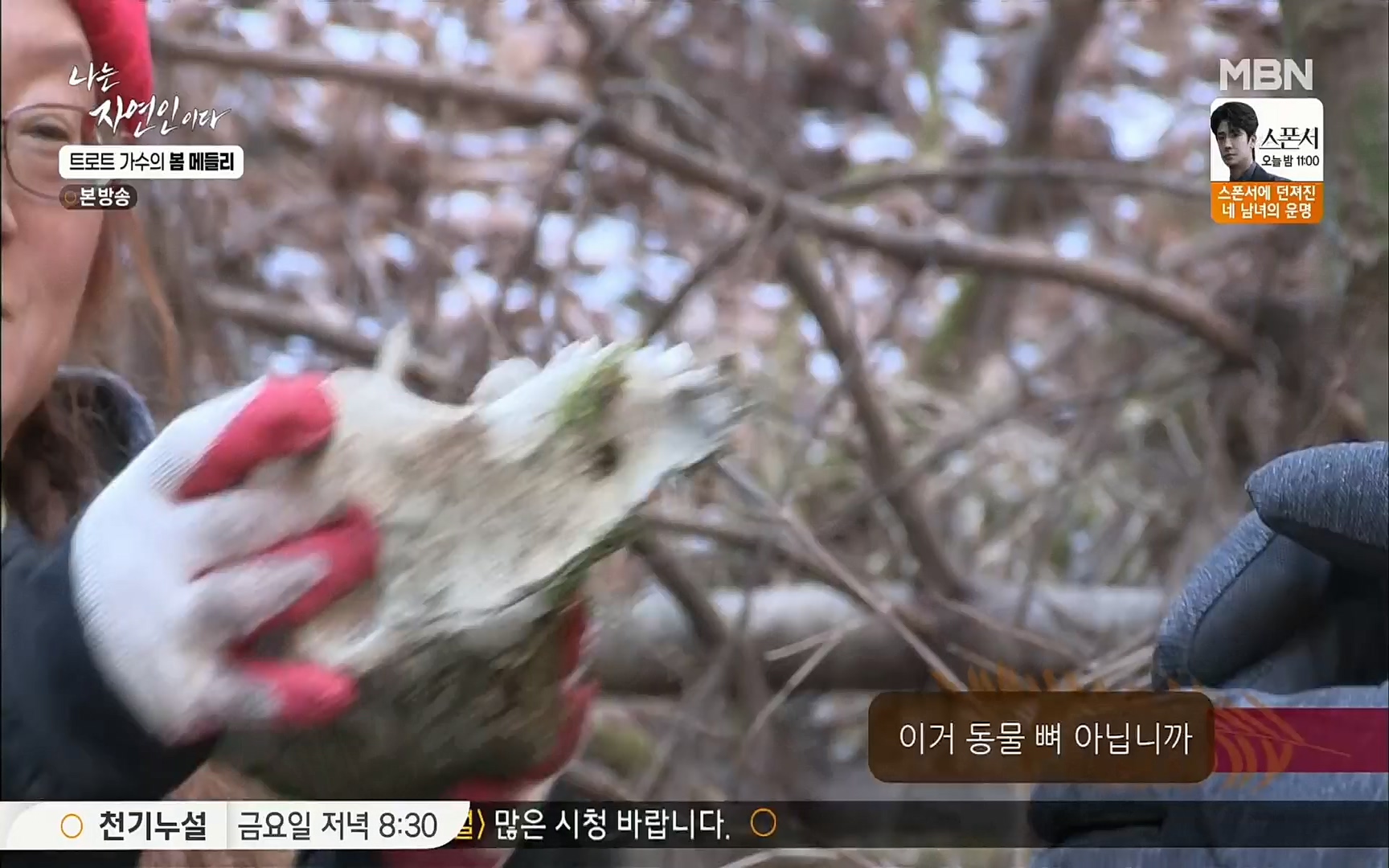 나는 자연인이다.E494.220323p.H264-F1RST.mp4_20220324_183841.053.jpg