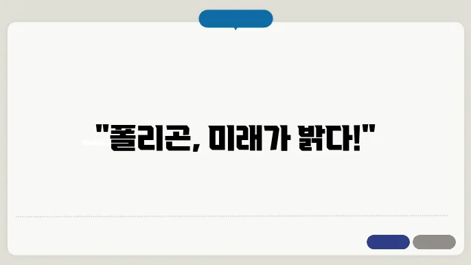폴리곤의 생태계 확대