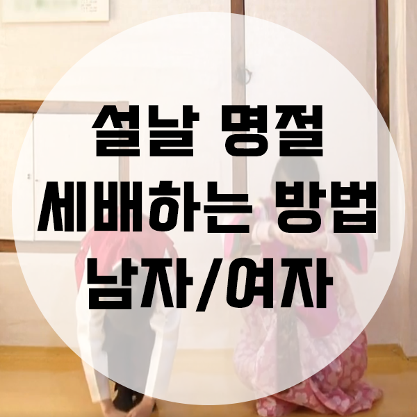  설날 세배하는 법 여자 남자 절하는 방법