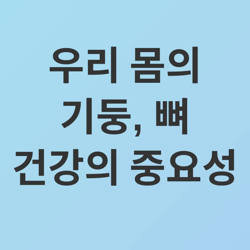 뼈 건강_1