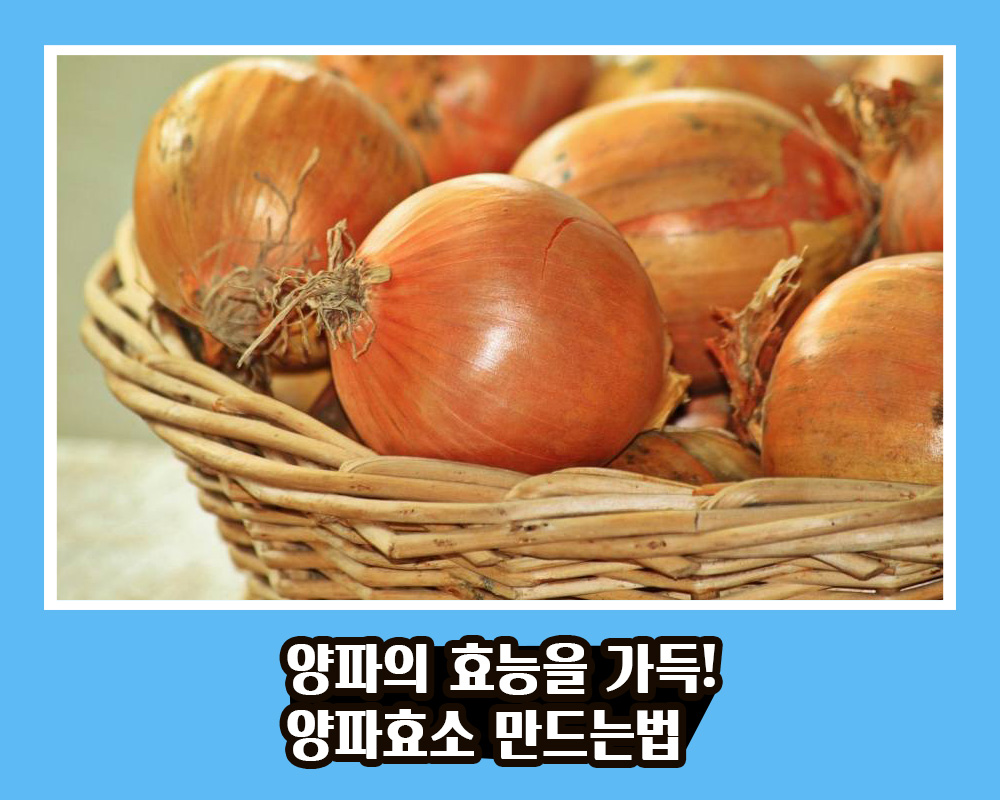  양파의 효능은? 양파의 효능을 가득 담은 양파효소 만드는법 With 양파의 부작용은?