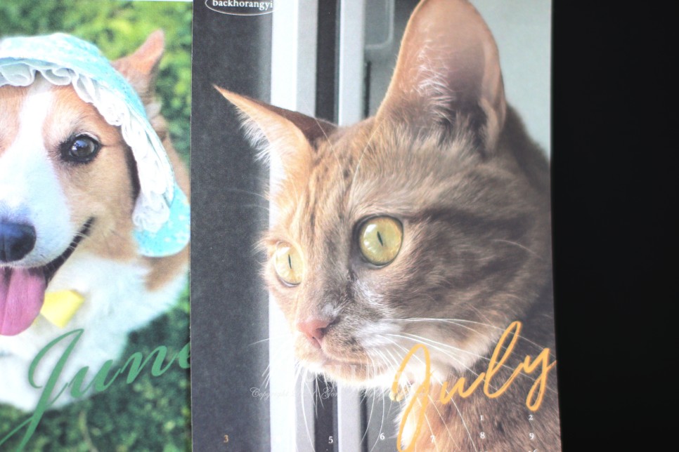 백호랑이 주문, 이웃집의 죽도록 사랑해!!!! 3