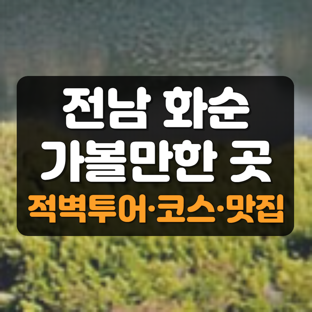 화순 적벽 수상 데크와 홍벽대를 잇는 셔틀버스 – 2025 여행 가이드