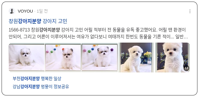 강아지 분양_3_subsection