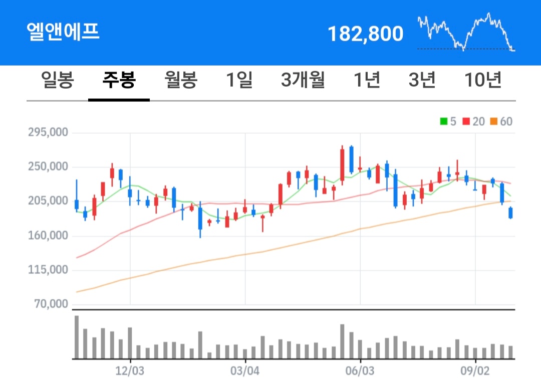 엘앤에프 주식 차트