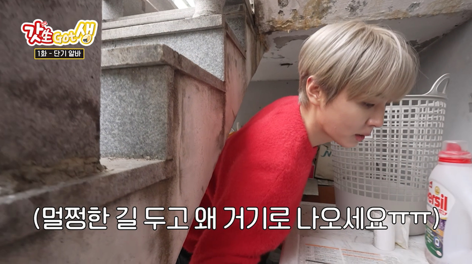요즘 강아지 산책 한번 시켜주고 받는 비용...jpg | 인스티즈
