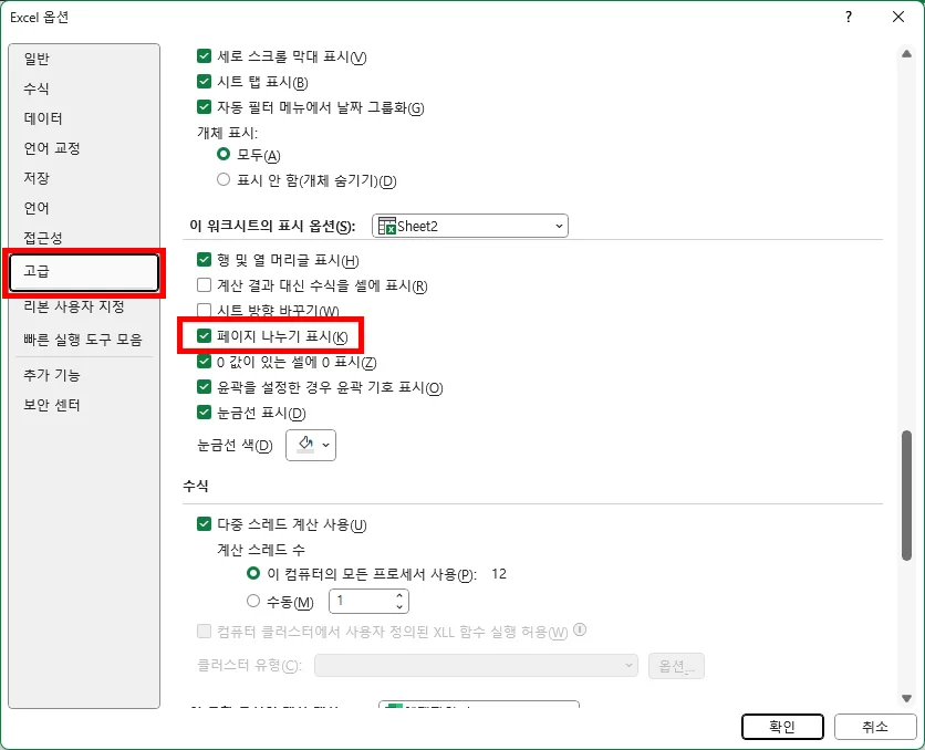 엑셀 옵션에서 고급 탭을 선택하고 페이지 나누기 표시 체크를 해제하는 모습