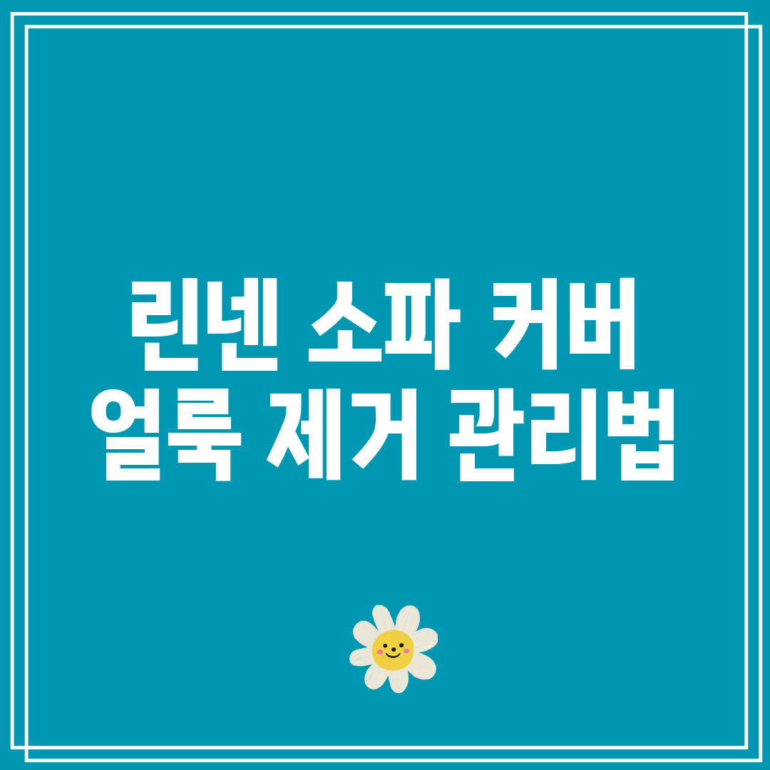 린넨 소파 커버 얼룩 제거 관리법