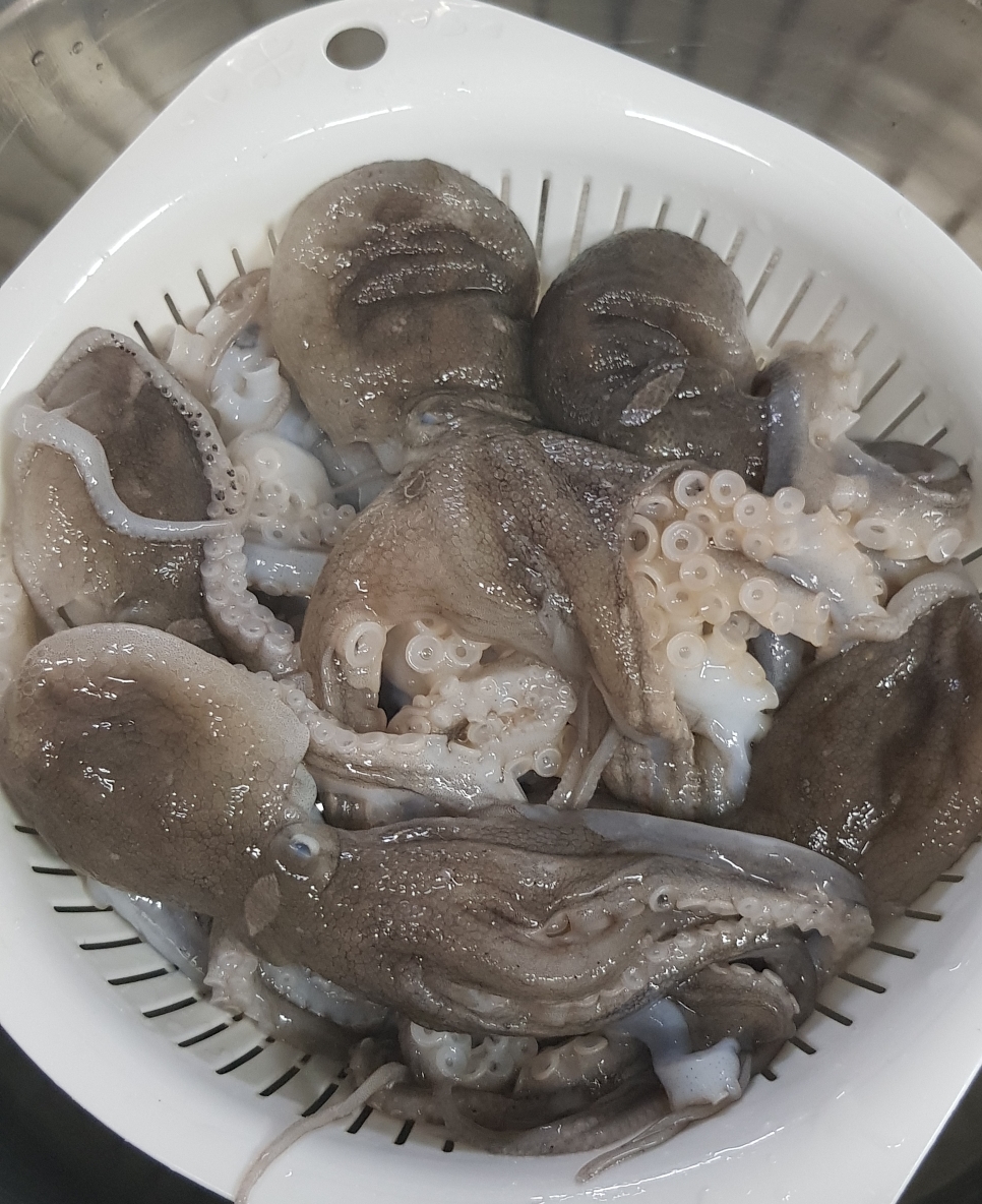  피로에 좋은 음식 주꾸미