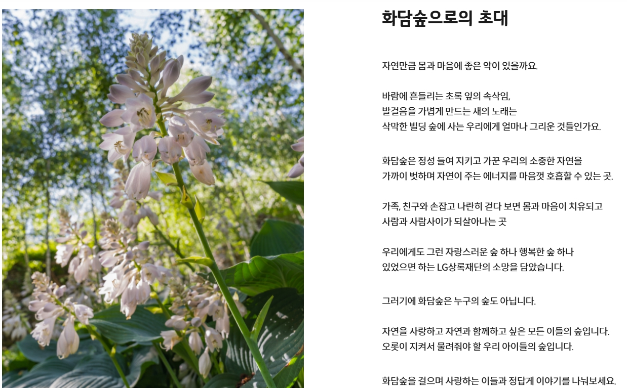 화담숲 반딧불이 축제 2025 사전예약 (+일정 관람포인트까지)