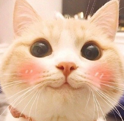  해외선물 안전한 실체결대여계좌 실거래업체 사용해야 하는 이유