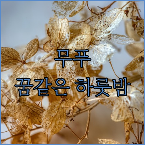 리장 무푸, 동성 와일드 럭셔리 코트