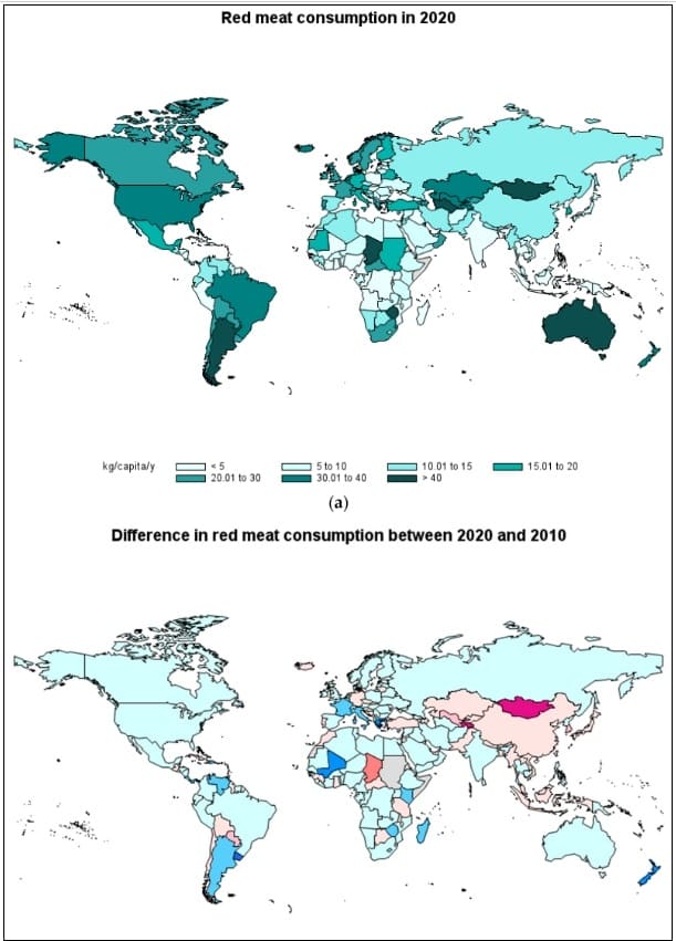 육류 소비와 수명: 고기 적게 먹어야 오래 산다?..No! Meat Consumption and Longevity