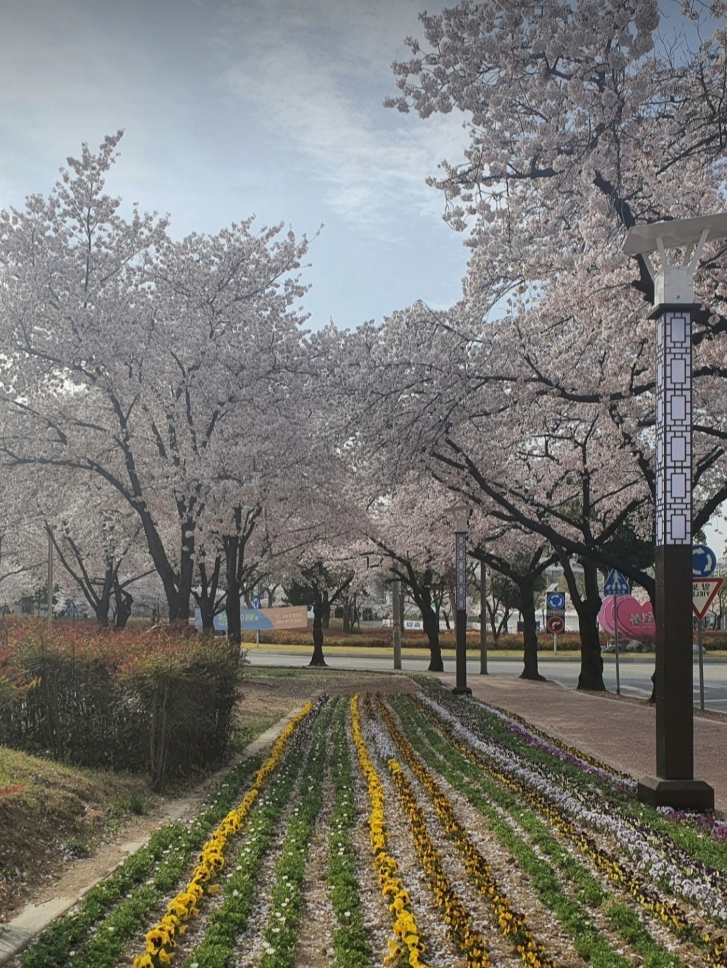 샛별모모 카톡 캡쳐 17