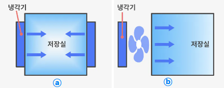 김치냉장고-일반냉장고-차이