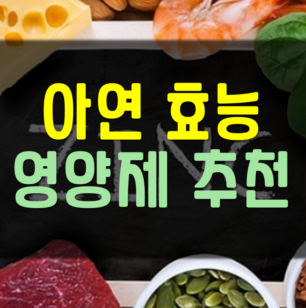  아연 효능 영양제 추천