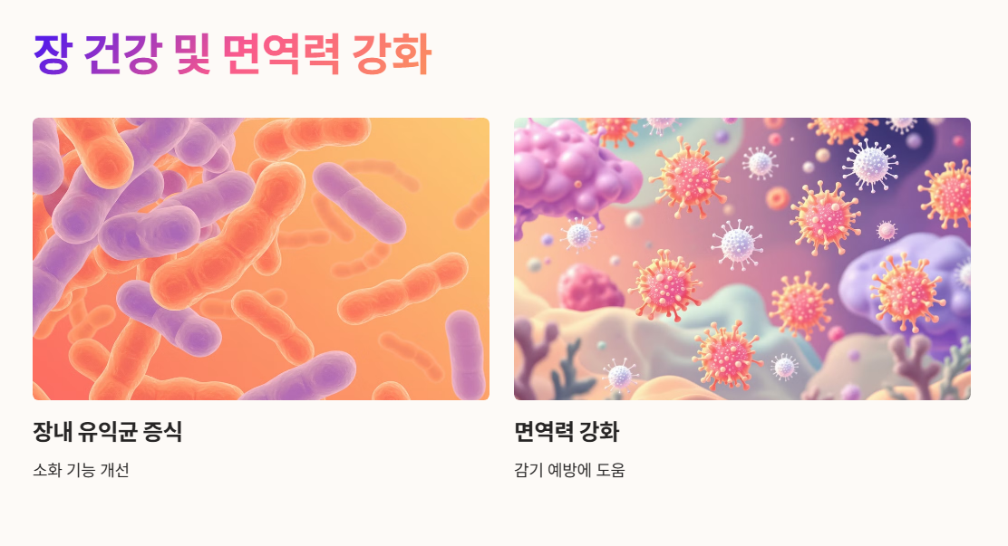 장 건강 및 면역력 강화