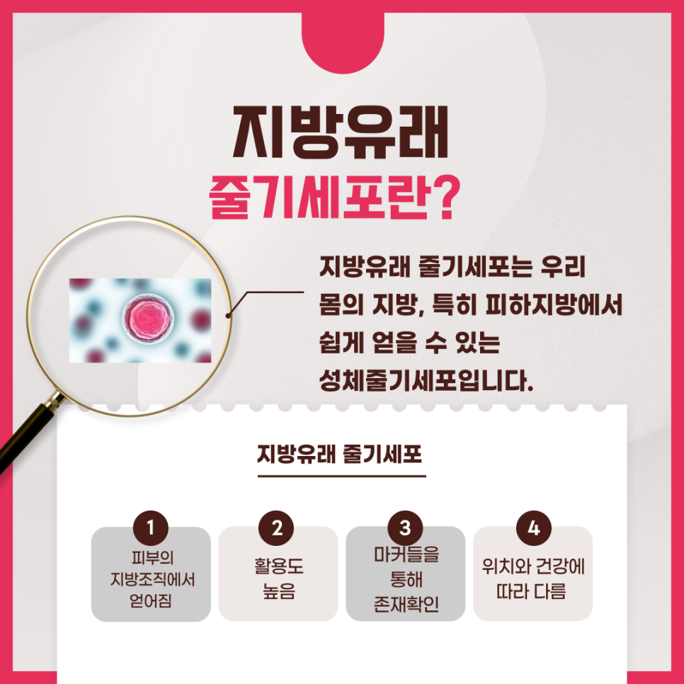 img 지방유래 줄기세포의 비밀! 피하지방 줄기세포가 주목받는 이유는?