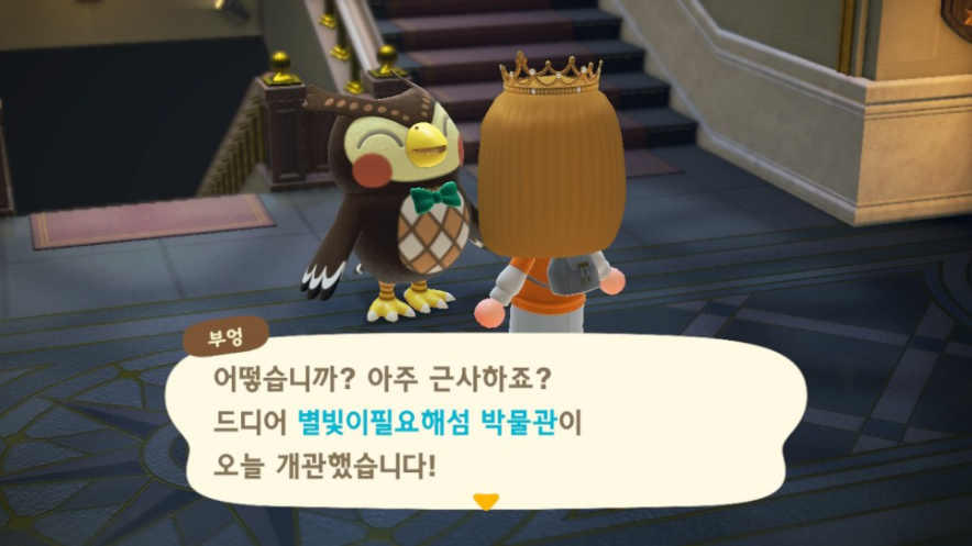  Animal Crossing 모여봐요 동물의 숲 모동숲 부엉 박물관 허가조건 & 개관