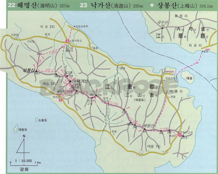 393 이미지