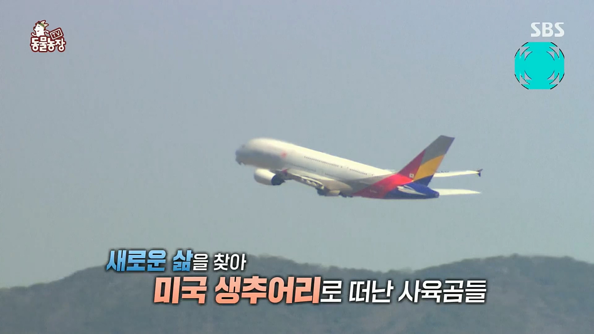 TV 동물농장.E1096.221120p.H264-F1RST.mp4_20221120_193718.429.jpg