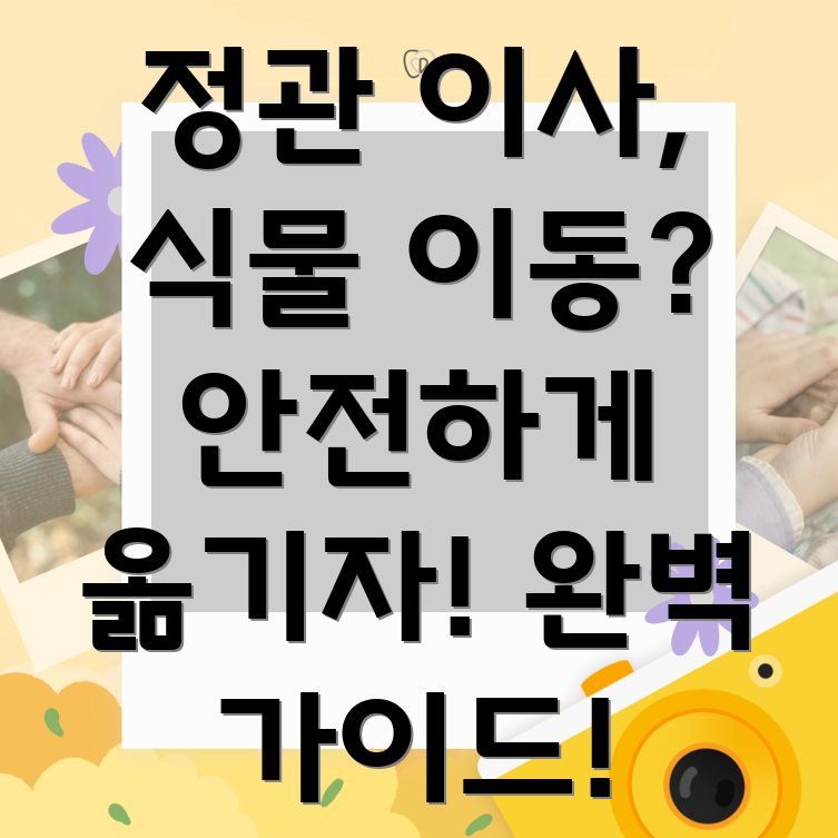 식물 이사