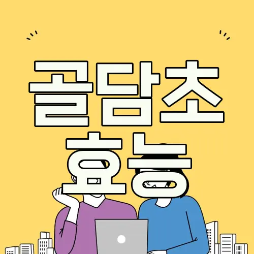 골담초 효능