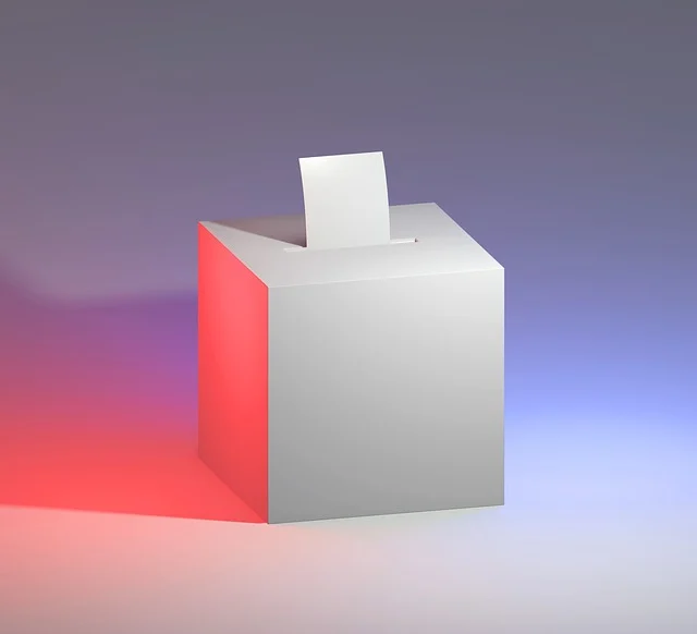 미국 대통령 선거 방식