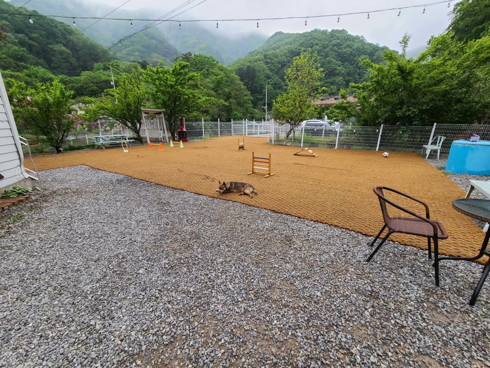 제이몬 펜션에 다녀왔습니다 경기도 가평 애견펜션, 29
