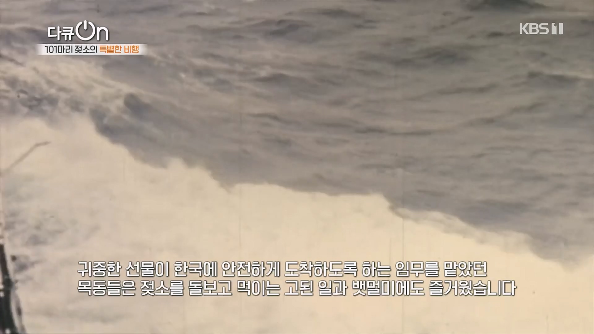 다큐 On.E184.230203p.H264-F1RST.mp4_20230211_175639.555.jpg