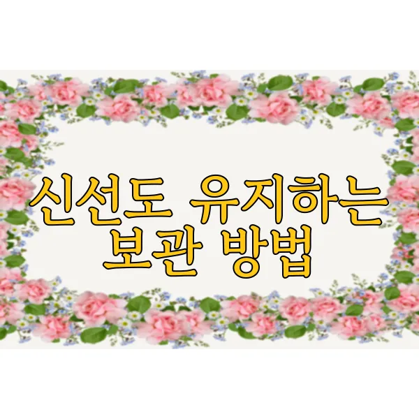 img.webp