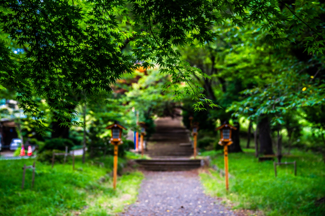 아라쿠라야마 센겐공원 입구로 올라가는 계단