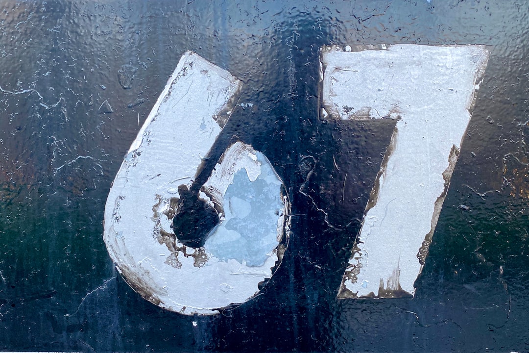 J-1 Visa