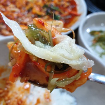 황칠나무 낙지연포탕 낙지볶음이
