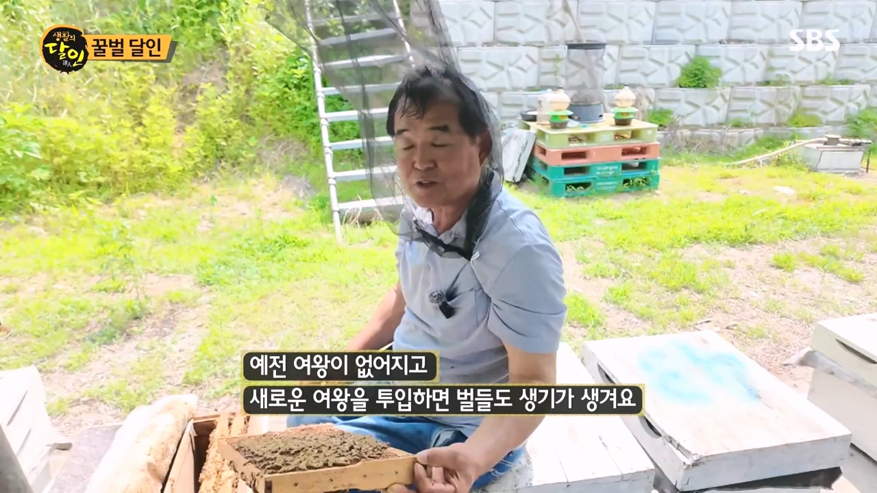 생활의 달인.E937.240528p-NEXT.mp4_20240528_195601.942.jpg