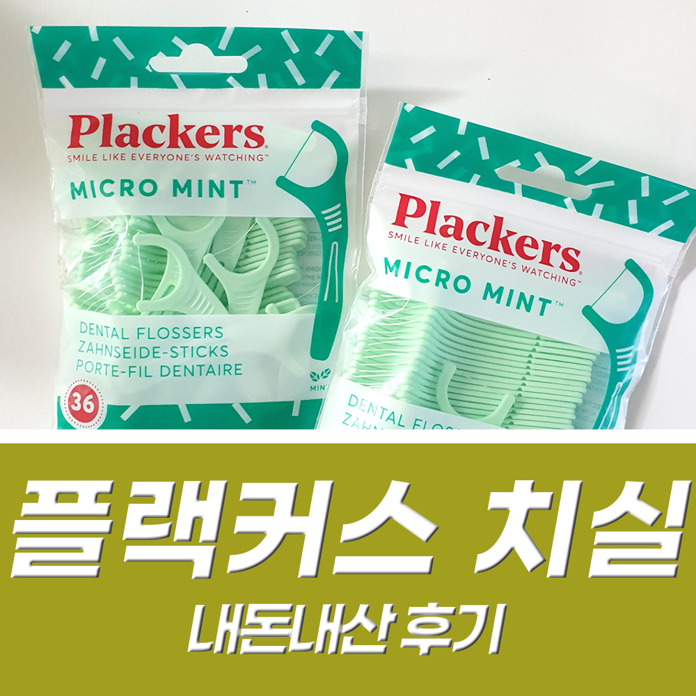  일회용 치실추천 플랙커스 아직도 안쓰세요? (강민경 치실)