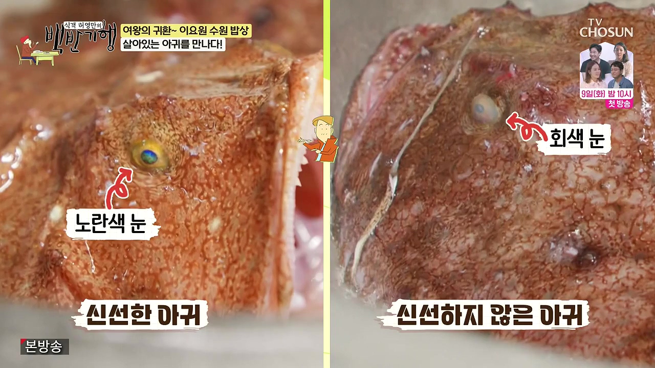 식객 허영만의 백반기행.E255.240708p-NEXT.mp4_20240708_193822.772.jpg