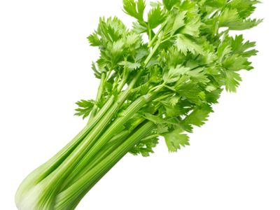 샐러리 효능 10가지 4