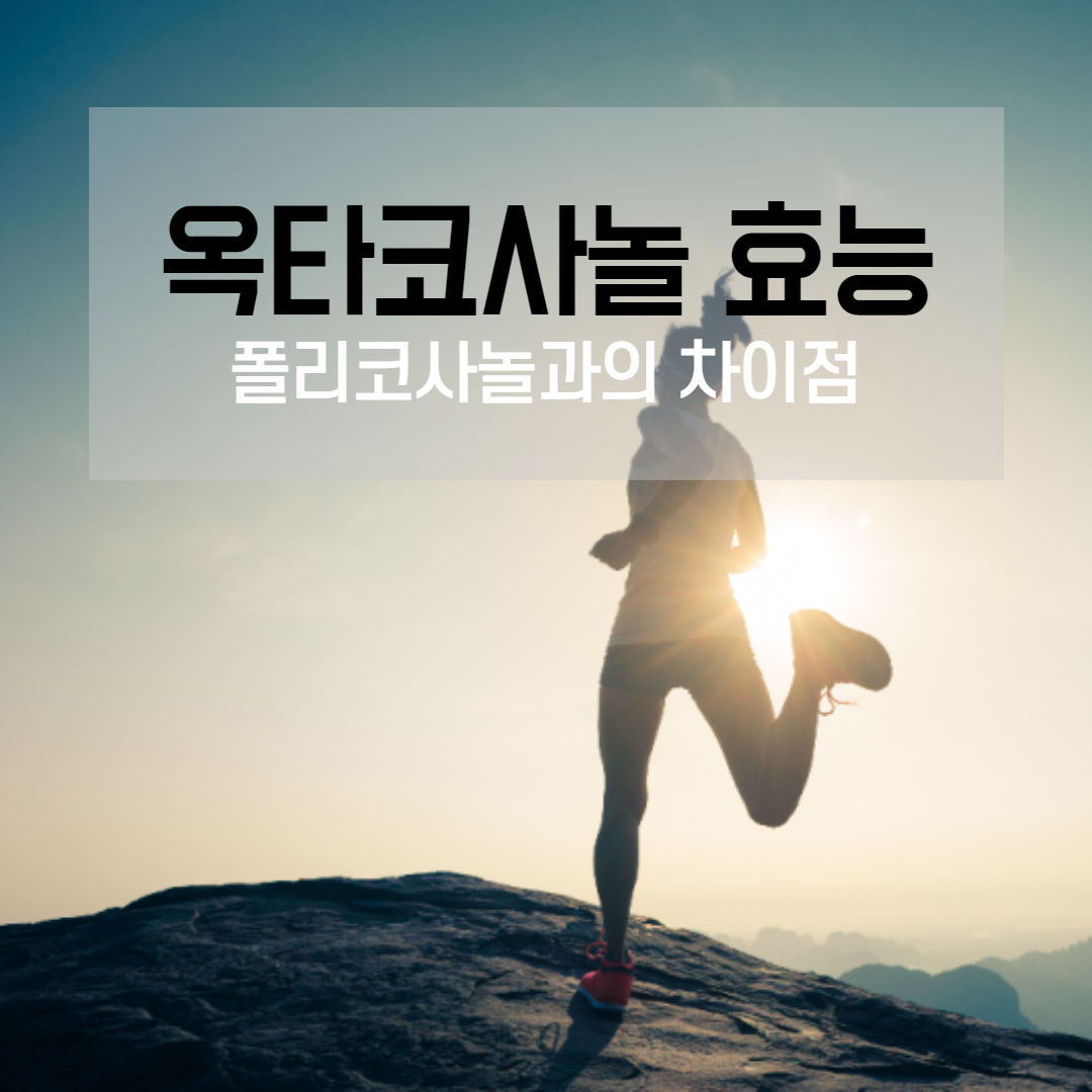  옥타코사놀 효능(폴리코사놀과의 차이)