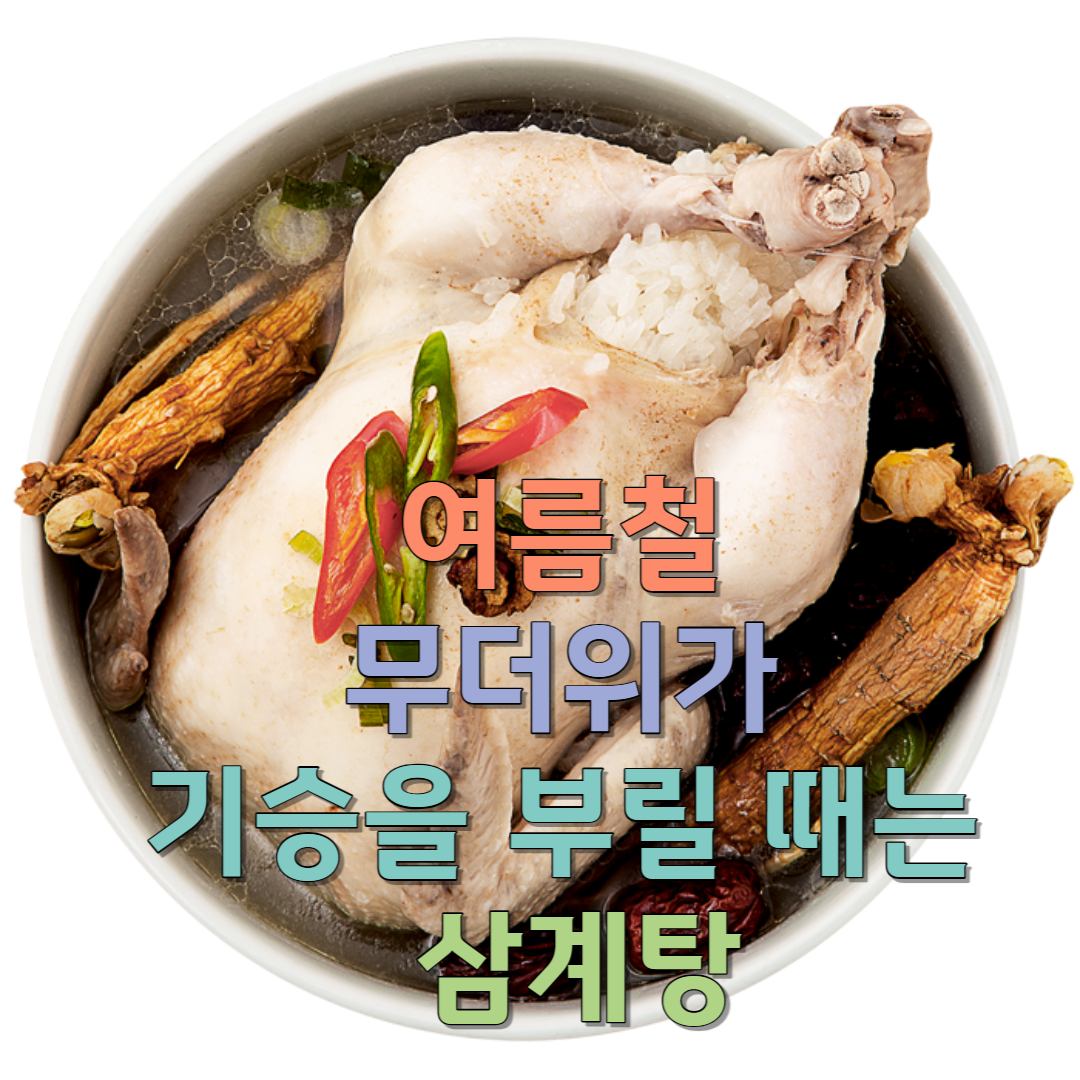  여름철 무더위가 기승을 부릴 때는 삼계탕/맛집소개