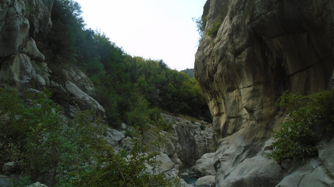 Scenic spot