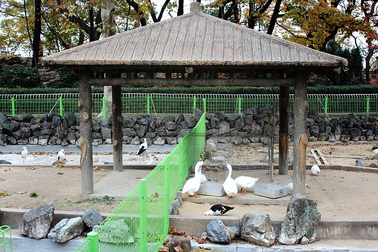 주말 가볼만한곳 베스트10 대구여행 가볼만한곳 팔공산 12